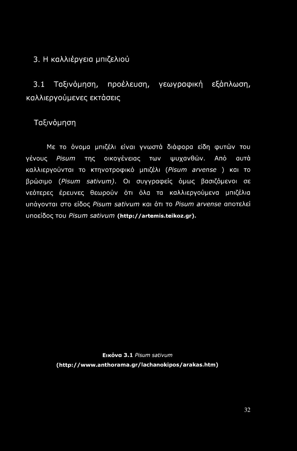 της οικογένειας των ψυχανθών. Από αυτά καλλιεργούνται το κτηνοτροφικό μπιζέλι (Pisum arvense ) και το βρώσιμο (Pisum sativum).