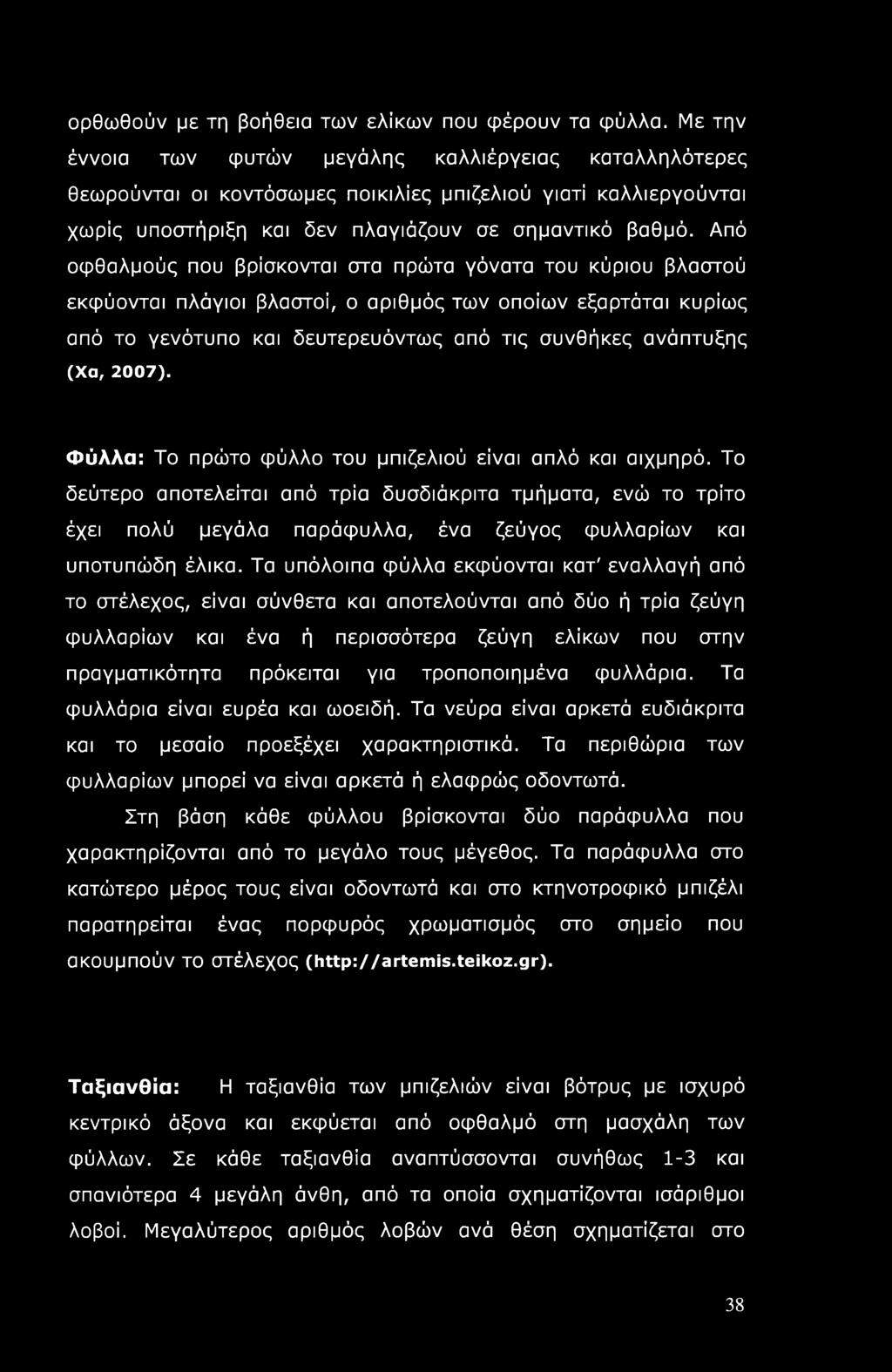 ορθωθούν με τη βοήθεια των ελίκων που φέρουν τα φύλλα.