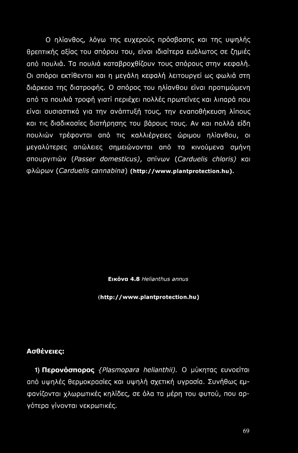 Ο σπόρος του ηλίανθου είναι προτιμώμενη από τα πουλιά τροφή γιατί περιέχει πολλές πρωτεΐνες και λιπαρά που είναι ουσιαστικά για την ανάπτυξή τους, την εναποθήκευση λίπους και τις διαδικασίες