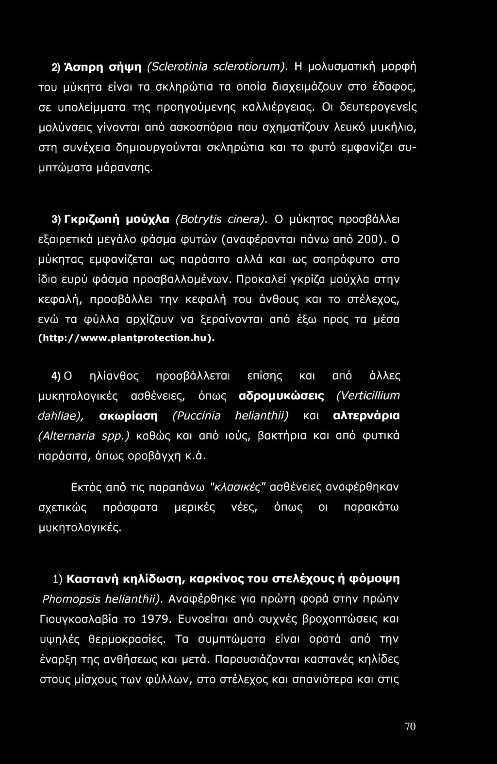 2) Άσπρη σήψη (Sderotinia sclerotiorum). Η μολυσματική μορφή του μύκητα είναι τα σκληρώτια τα οποία διαχειμάζουν στο έδαφος, σε υπολείμματα της προηγούμενης καλλιέργειας.