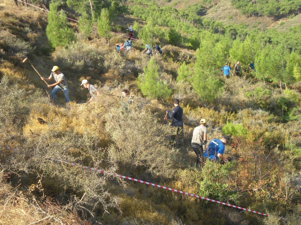 Προτάσεις Προγραμματισμός, σχεδιασμός και υλοποίηση από όλους τους φορείς (υπηρεσιακούς και