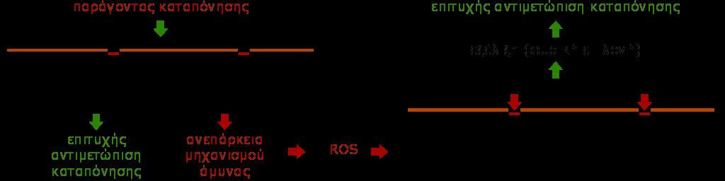 ΟΞΕΙΔΩΤΙΚΗ ΚΑΤΑΠΟΝΗΣΗ Δράση των ROS στα κύτταρα