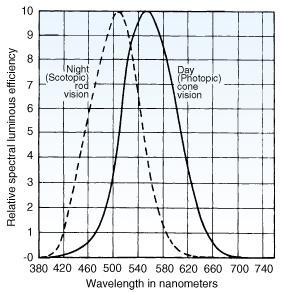 Φωτοπική περιοχή (φως ημέρας): στην περίπτωση αυτή η λαμπρότητα είναι μεγαλύτερη από 10 cd/m 2 και η όραση οφείλεται κυρίως στα κωνία.