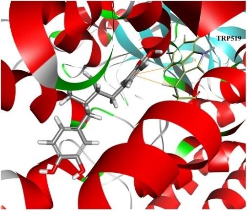 (9Z,11E)-13(R)-hydroperoxy-9,11-octadecadienoic acid (13-HPD) as LX substrate.