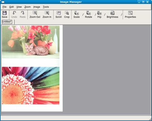 Λειτουργίες σάρωσης Επεξεργασία μιας εικόνας με το Image Manager Η εφαρμογή "Image Manager"
