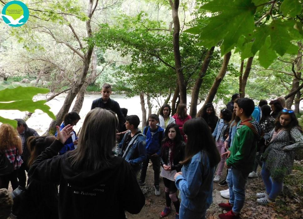 Στις 17/05/2017, μαθητές από το Γυμνάσιο Παρακαλάμου ξεναγήθηκαν στα στενά Αχέροντα από το προσωπικό πληροφόρησης του Φορέα Διαχείρισης και