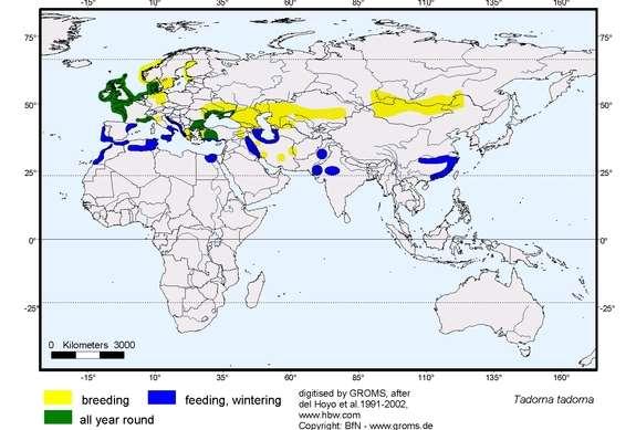 5. Βαρβάρα Tadorna tadorna Γεωγραφική εξάπλωση