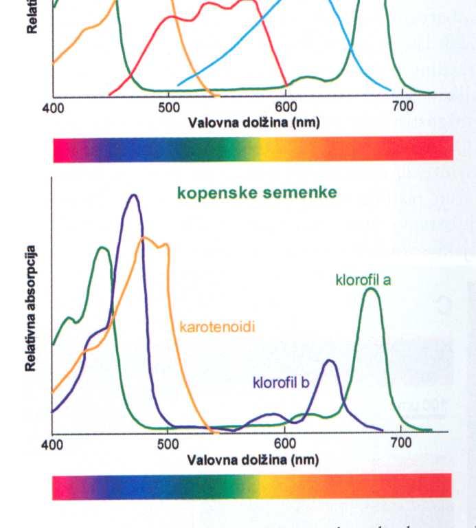 Spektrofotometrija-