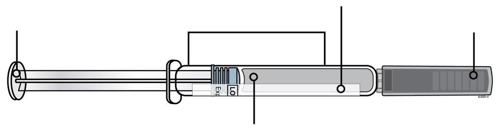 Piston Corpul seringii Eticheta seringii cu data de expirare Capac al acului de culoare gri ataşat Medicament Ţineţi întotdeauna seringa preumplută de corpul seringii.