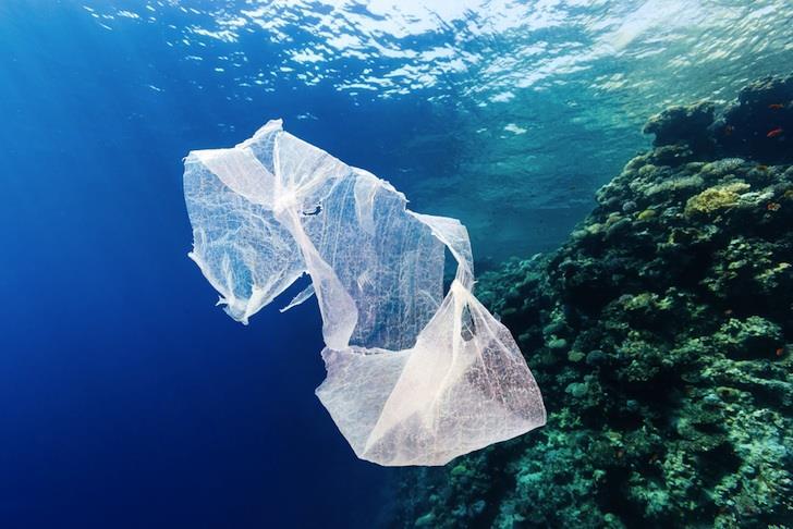 Η πλαστική σακούλα στο θαλάσσιο περιβάλλον της Ελλάδας Ετος Πλαστική