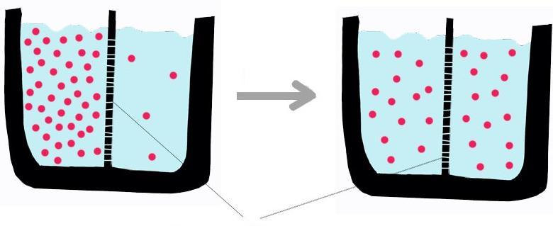 Strujanje tekućine - hidrodinamika Difuzija - prolazak otopljene tvari kroz membranu iz prostora više koncentracije u prostor niže koncentracije.