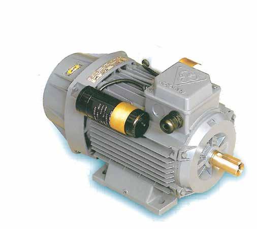 Single Phase Electric Motor with Two Capacitor الکتر وموتورهای تکفاز صنعتی دو