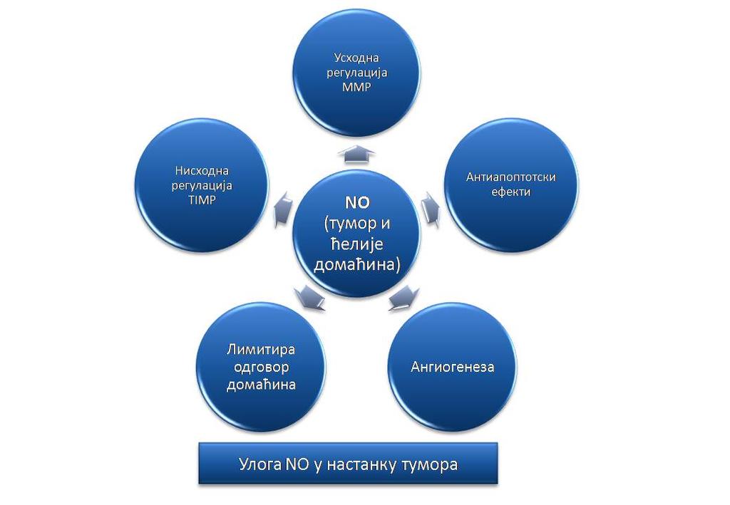 Преглед литературе Слика 6.