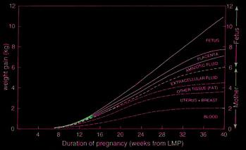 Πρόσληψη βάρους κατά την κύηση FIGURE 3-3