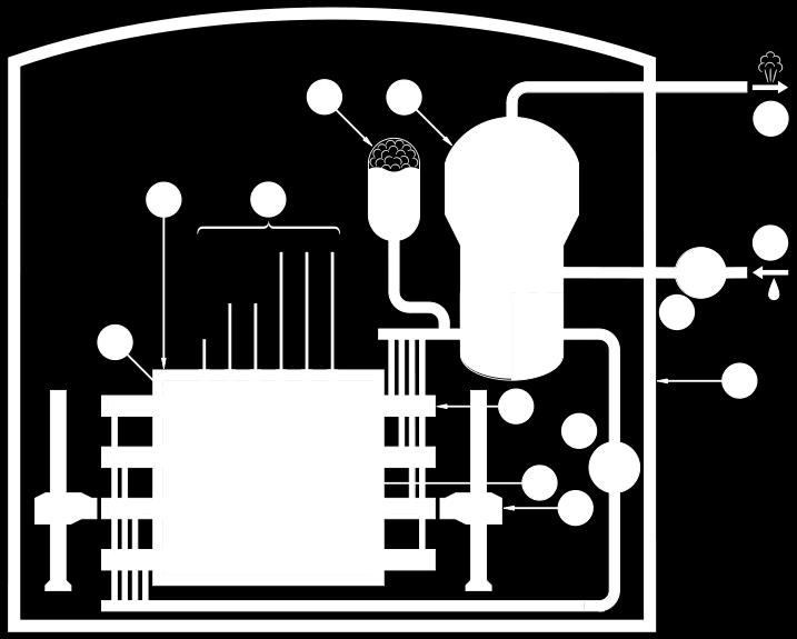 Centrala nucleară electrică de la Cernavodă este de tip CANDU, denumire care provine de la CANada Deuterium Uranium. Reactorul utilizează uraniul natural (0.