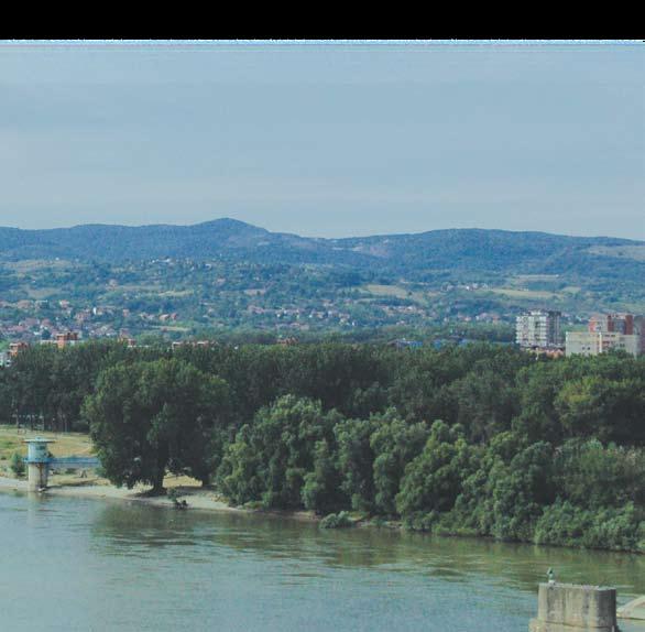 Збирни узорак воде са изворишта Ратно острво ЗБИРНИ РО показује веома добар квалитет (табела 1) јер припада првој категорији по Кохл-у, заступљеност испитиваних група посебно аеробних мезофила и