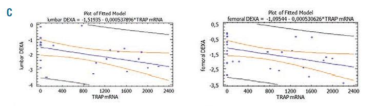 Η έκφραση του TRAP και της cathepsin K mrna σε οστεοκλάστες ΘΑ είναι αυξημένη και έχει στενή συσχέτιση με την μείωση στην οστική