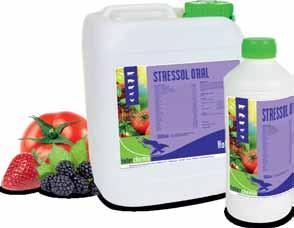 STRESSOL ORAL Stressol Oral geriamasis tirpalas su vitaminais, mineralais ir aminorūgštimis. Vandenyje ir riebaluose tirpūs vitaminai atlieka savo specifines funkcijas.