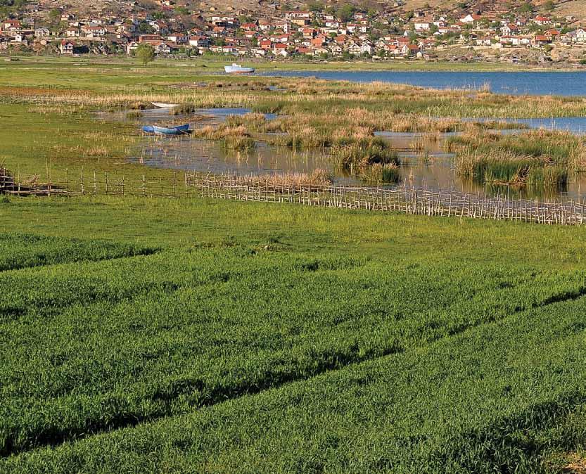 Заградец, Албанија,