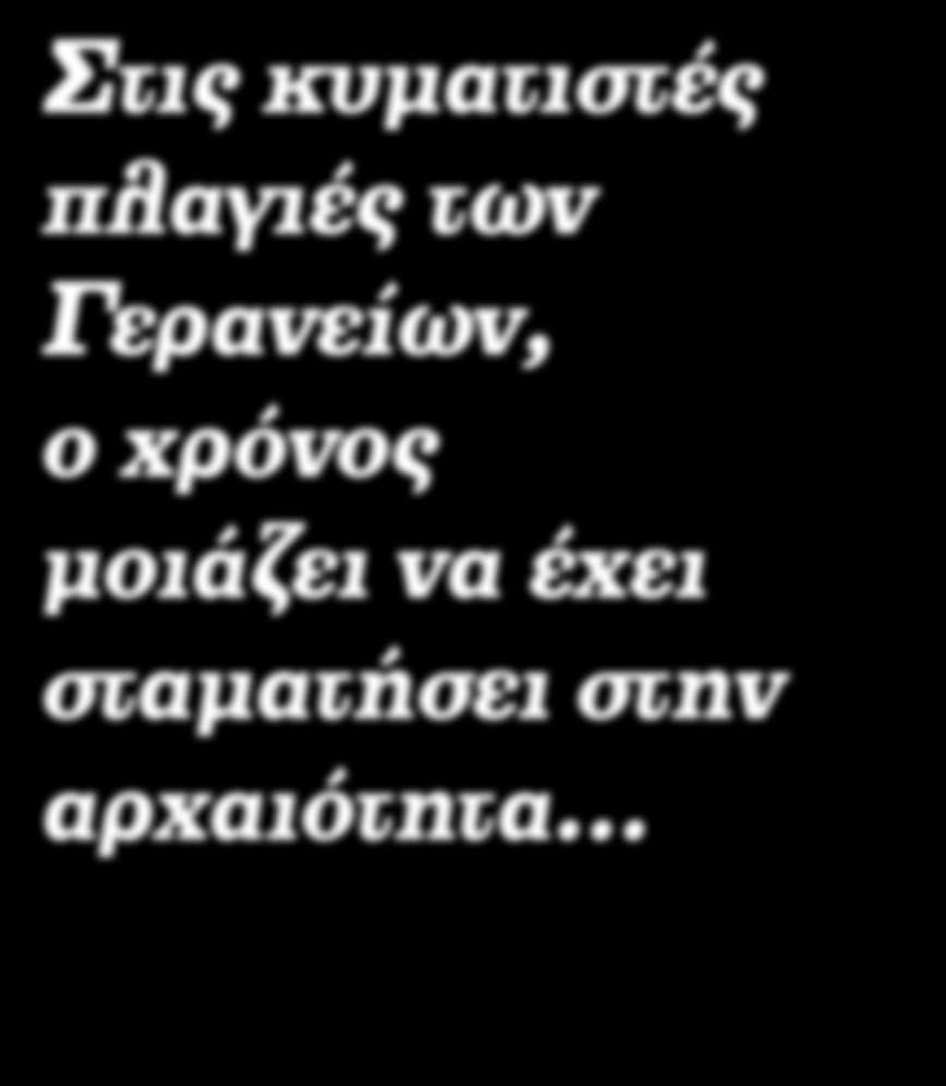 Κάθε μας ετικέτα είναι ξεχωριστή, με τα δικά της γευστικά χαρακτηριστικά και αρώματα.