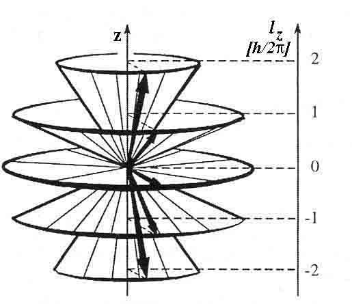 Slika 6. Prostorno kvantiranje vektora orbitalnog ugaonog momenta l r. Za svaku orjentaciju (svaki ugao θ) vektor l r nalazi se na površini kupe određene uglom θ.