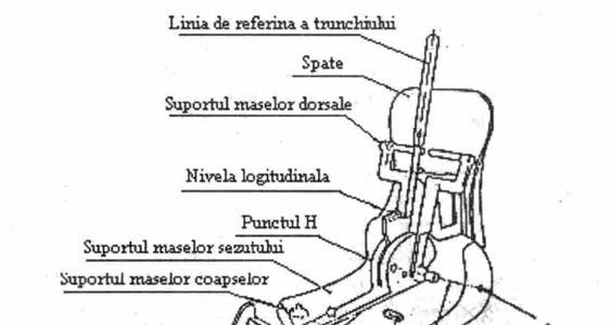 Fig. 4.3. Manechin tridimensional Pentru toate cele trei grupe dimensionale lungimea torsului se consideră aceeaşi. Diferenţele apar la lungimile coapselor B şi gambelor A.