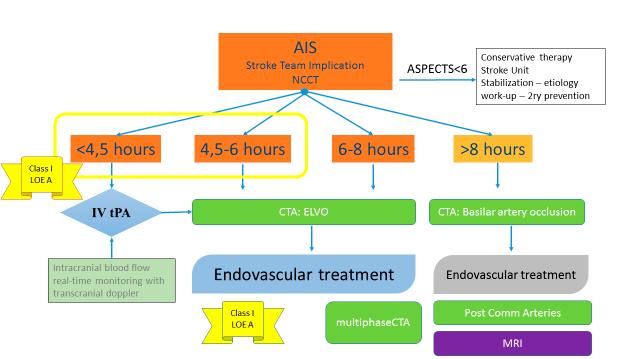 16 Tsivgoulis G. et al. Figure 7. Protocol of systemic and endovascular reperfusion therapies for AIS patients included in our cohort.