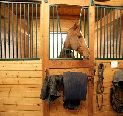 KAPITULLI 11 - MEKANIZIMI NË FERMAT E KUAJVE Numri më i madh i kuajve sportiv dhe për punë, jetojnë në stalla në hapësira të kufizuara, prandaj mbajtjes duhet kushtuar kujdes të veçantë pasi ndikon