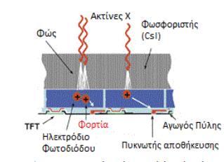 με πλάκα φωσφορίζοντος υλικού (π.χ.