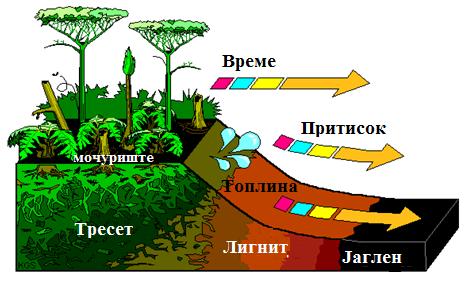 9. ЦВРСТИ ГОРИВА 9.2.