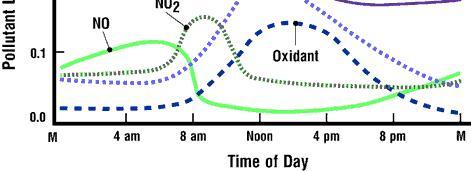 Dan započinje stvaranjem azot(ii)-oksida