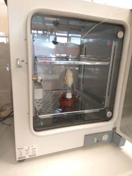 μέσω μεμβράνης Απ ευθείας