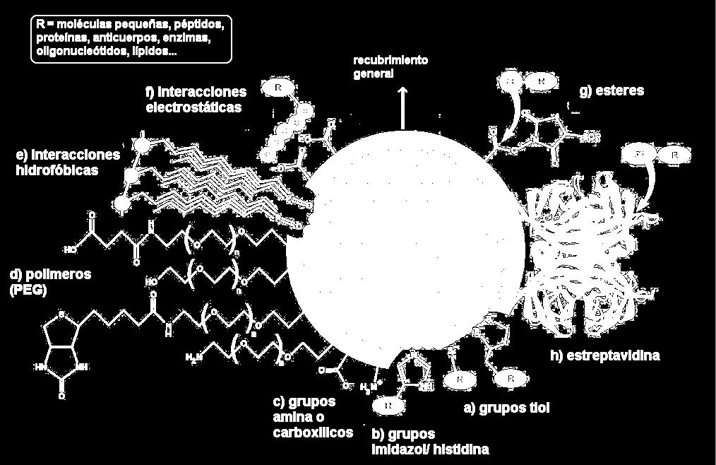 Química de superficie e estratexias de bioconxugación