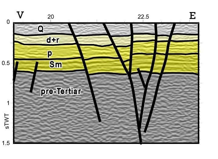 Secțiune seismică interpretată (localizare planșa 1) care ilustrează sistemele de falii de decroșare în releu formate la Sud de Falia
