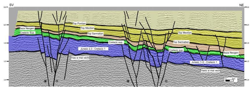 Secțiune seismică interpretată (localizare planșa 1) care traversează Falia Intramoesică; de remarcat sistemul complex de falii dezvoltate