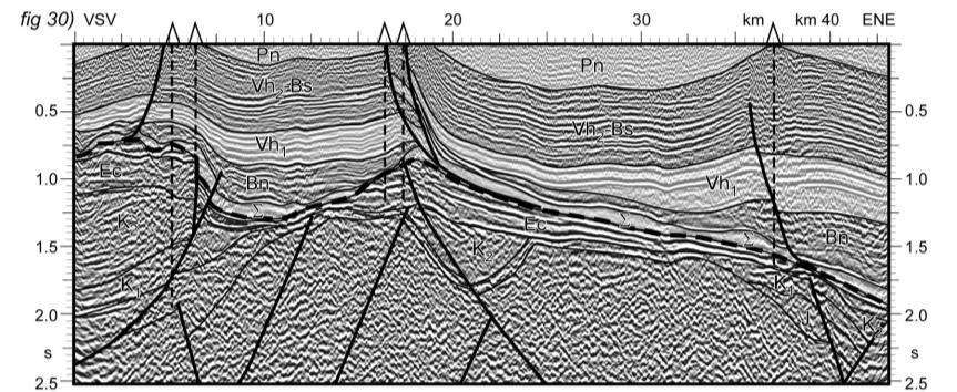 decolate pe formațiunea sării de vârstă post-panoniană ce determină un stil tectonic decuplat de deformările la nivelul fundamentului pre-salifer Fig.30.