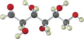 25-28 Η παρακάτω δομή αντιστοιχεί στην πυρανοζική μορφή μιας l αλδοεξόζης. Προσδιορίστε το σάκχαρο και διευκρινίστε εάν πρόκειται για το α- ή β-ανωμερές.