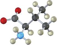 S): 26-21 Η ισολευκίνη και η θρεονίνη είναι τα μοναδικά αμινοξέα με δύο