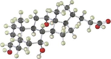 ΑΣΚΗΣΕΙΣ 265 ΟΠΤΙΚΟΠΟΙΗΜΕΝΗ ΧΗΜΕΙΑ 27-11 Το παρακάτω μοντέλο αναπαριστά το χολικό οξύ, ένα συστατικό της ανθρώπινης χο λής.