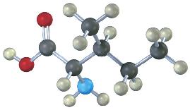 5-12 Προσδιορίστε την απεικόνιση R ή S στο στερεογονικό κέντρο για το παρακάτω μοριακό μοντέλο του αμινοξέος μεθειονίνη (γαλάζιο =, κίτρινο = S): 5-13 Ένα από τα παρακάτω μόρια (α) (δ) είναι η