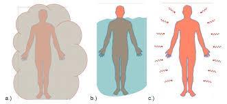 Veľkosť organizmu - povrch tela - priama úmernosť povrchu tela s úrovňou metabolizmu - súvis s termoreguláciou / výdajom tepla do prostredia väčší povrch tela väčšie straty tepla zvýšený metabolizmus