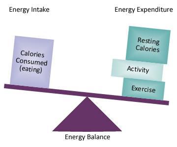 Energetická bilancia vyvážená: príjem energie (z B+ T+ S) = výdaj E - pre zdravého dospelého optimálny stav - indikátor: stála telesná hmotnosť pozitívna: príjem E > výdaj E - ukladanie nadbytočnej