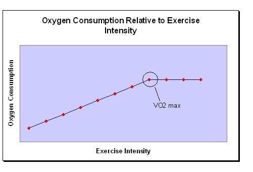 Maximálna spotreba kyslíka VO 2max - maximálne množstvo kyslíka, ktoré je organizmus schopný prijať pri intenzívnom fyzickom zaťažení za