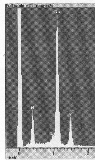 Microscopy-FESEM) Nije posve jasno tko je prvi iznio principe pretražnog elektronskog mikroskopa, a prvi pisani opis datira iz 1935.g. (Njemački fizičar Max Kroll).