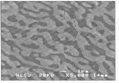 spota (presjek snopa na mjestu dodira s uzorkom). Tipični promjer fokusirajućeg elektronskog snopa je promjera 5 nm i struja snopa oko 10-11 A.