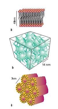 (a) Lamilyar tuzilishli), (b) kubik tuzilishli va (c) geksagonal tuzilishga ega mezagovakli Kristal nanostrukturalarning hosil bo lishi (Adapted from A. Mueller and D.F. O Brien, Chem. Rev.