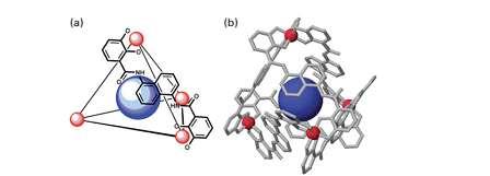 Rasm 25/30. (а) M-416 strukturasini yig ilish sxemasi. Qirralarda metallogrganikaning yigilishi ko rsatilgan metal mehmon sifatida (b) (D. H. Leung и др., J. Am. Chem. Soc., 2007, 129, 2746.