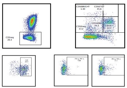CD3 CD45 CD56 CD16 CD56 unstimulated K562