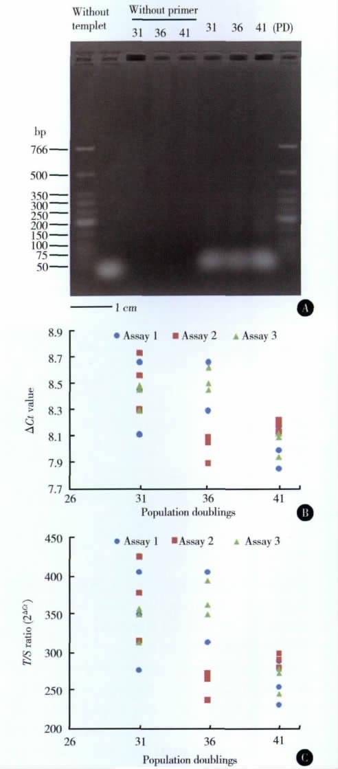 DNA PCR 301 14. 13% ± 9. 17% PCR 3 CPD 5 6 6 T /S 3 1 1A 12. 40% ± 6.