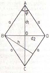 D lungime igonlei; R D R eului iumsis P eimetul; P 4 S i; R D S Rom